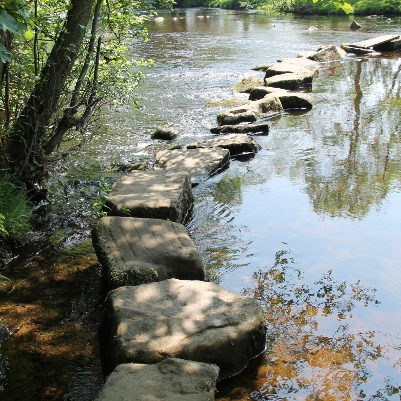 Stepping stones in water