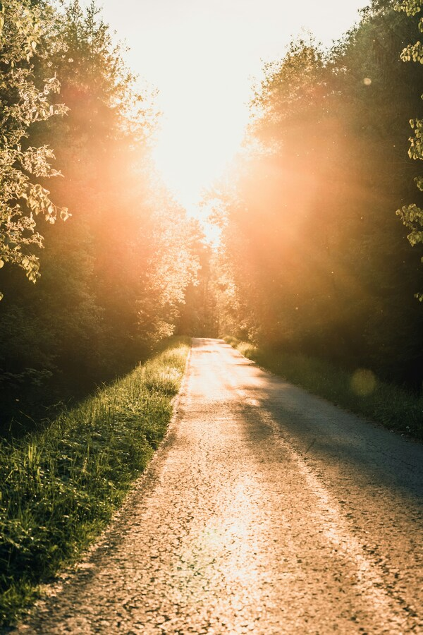 walking_pat Sun lit path